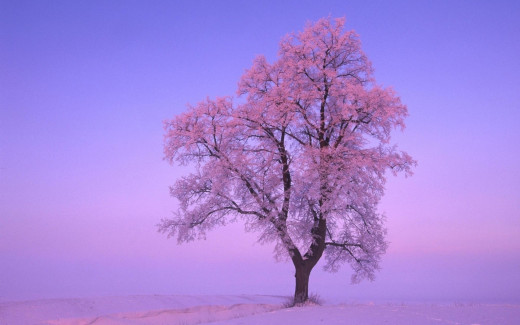 671662 (a): :1680x1050